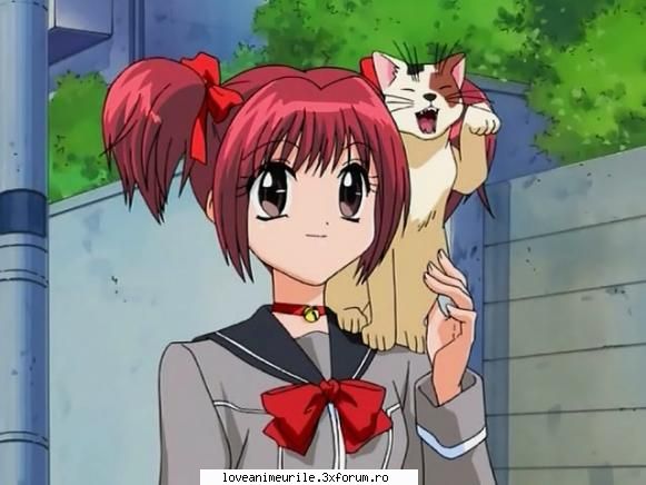 Ichigo - Hinamori Amu - **Mew Mew Power**